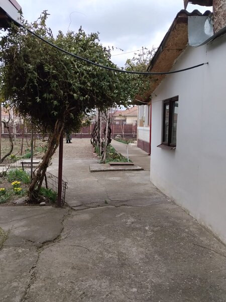 Maracineni, Buzau,