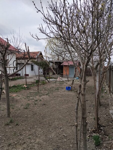 Maracineni, Buzau,
