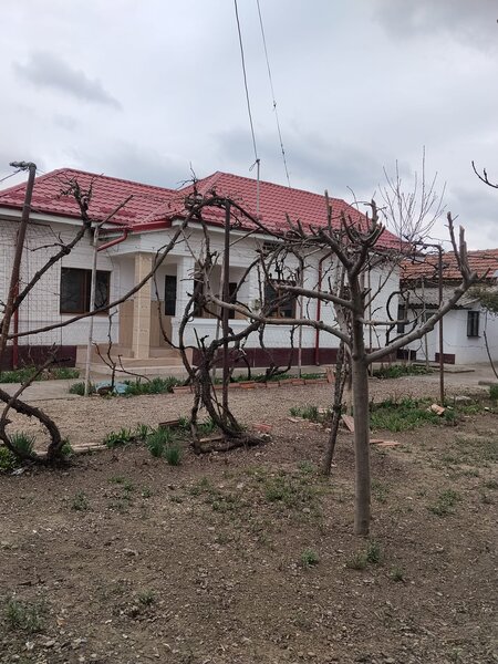 Maracineni, Buzau,